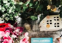 Monika Leśniewska, Wszystko, czego dziś chcę (2026)